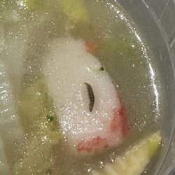 Wah Sing II Kitchen - GROSSSSS!!!