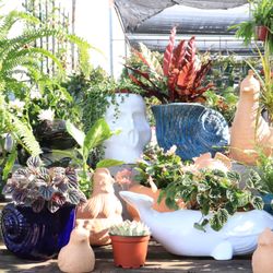 Pottery Mfg & Dist. Inc. - Novelty Collection to brighten up any area