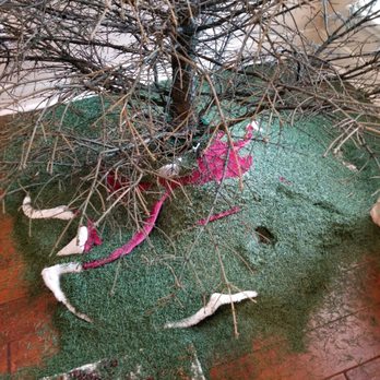 Houston Garden Center - Ripped off! - Nurseries & Gardening Near Me - Sugar Land, Texas
