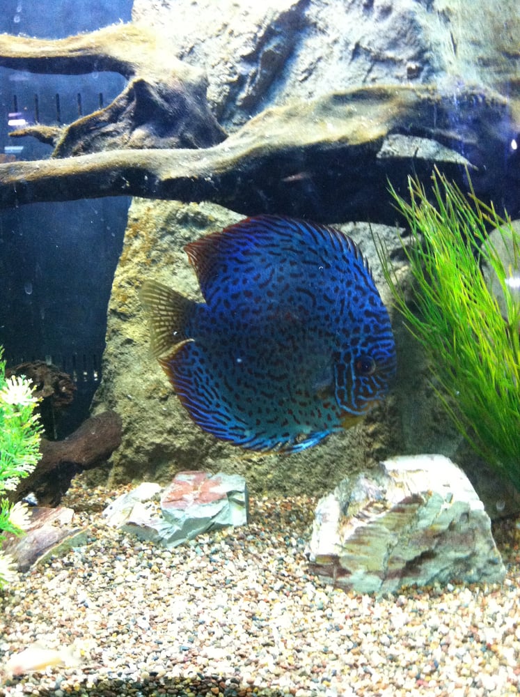 PREUSS PETS Updated September 2024 66 Photos & 76 Reviews 1127 N