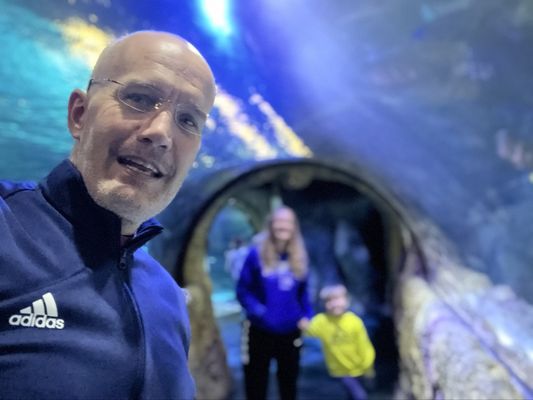 SEA LIFE Orlando Aquarium by null