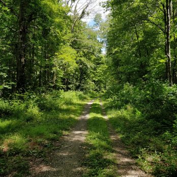James L. Goodwin State Forest - Air Line Trail - Parks Near Me - Hampton, Connecticut