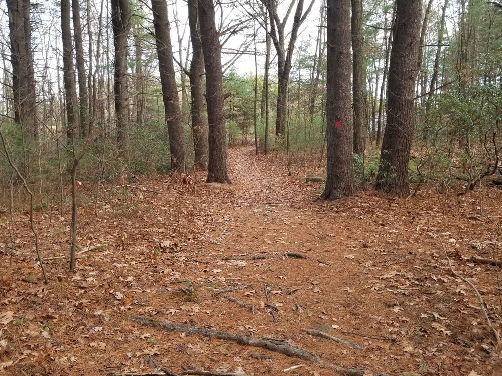 DOYLE CONSERVATION CENTER Updated September 2024 325 Lindell Ave