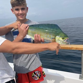 Oceanside Sea Center - The prize fish. Technically hooked by the captain but my first time fishing son had a blast reeling it in. - Fishing Near Me - Oceanside, California Oceanside Sea Center - The prize fish. Technically hooked by the captain but my first time fishing son had a blast reeling it in. - Fishing Near Me - Oceanside, California