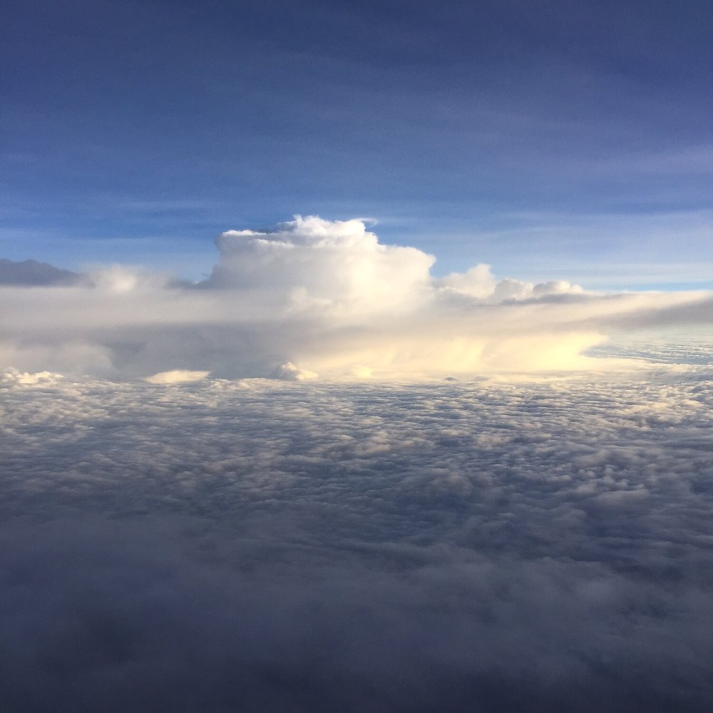 American Airlines - Over Memphis - Airlines Near Me - Dulles, Virginia