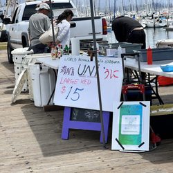 Saturday Fishermen's Market - Look for the tent on Saturdays, until noon only
