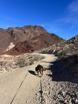 Historic Railroad Hiking Trail by null
