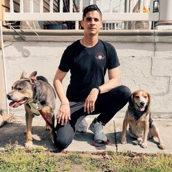 Transform Your Dog - Owner and Head Trainer Raymond and his two pups Bam and Docky