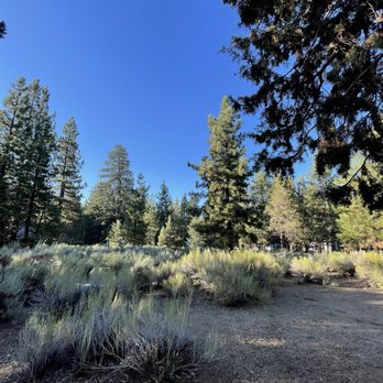 Serrano Campground - Campgrounds Near Me - Fawnskin, California