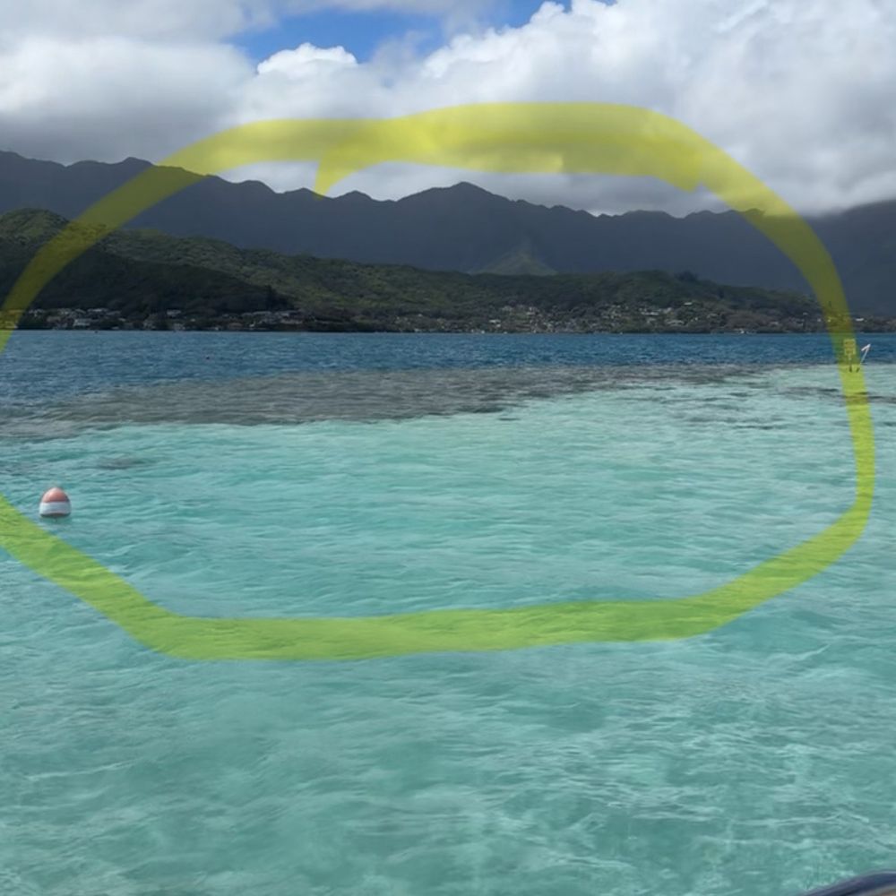 Captain Bruce - The only designated snorkeling area - Boat Charters Near Me - Kaneohe, Hawaii