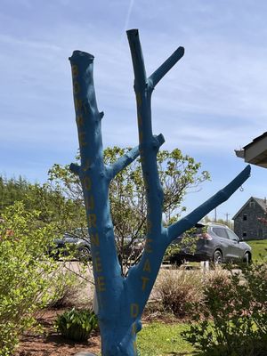 The Bottle Houses and Gardens by null