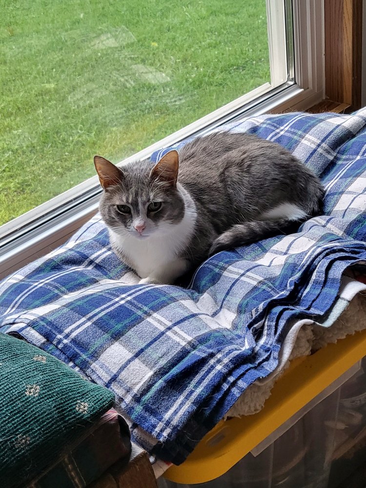 CUMBERLAND CREEK MOBILE VETERINARY SERVICE Updated September 2024