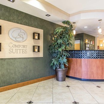 Comfort Suites 56 Photos Hotels 210 Harvey Way Hopkinsville