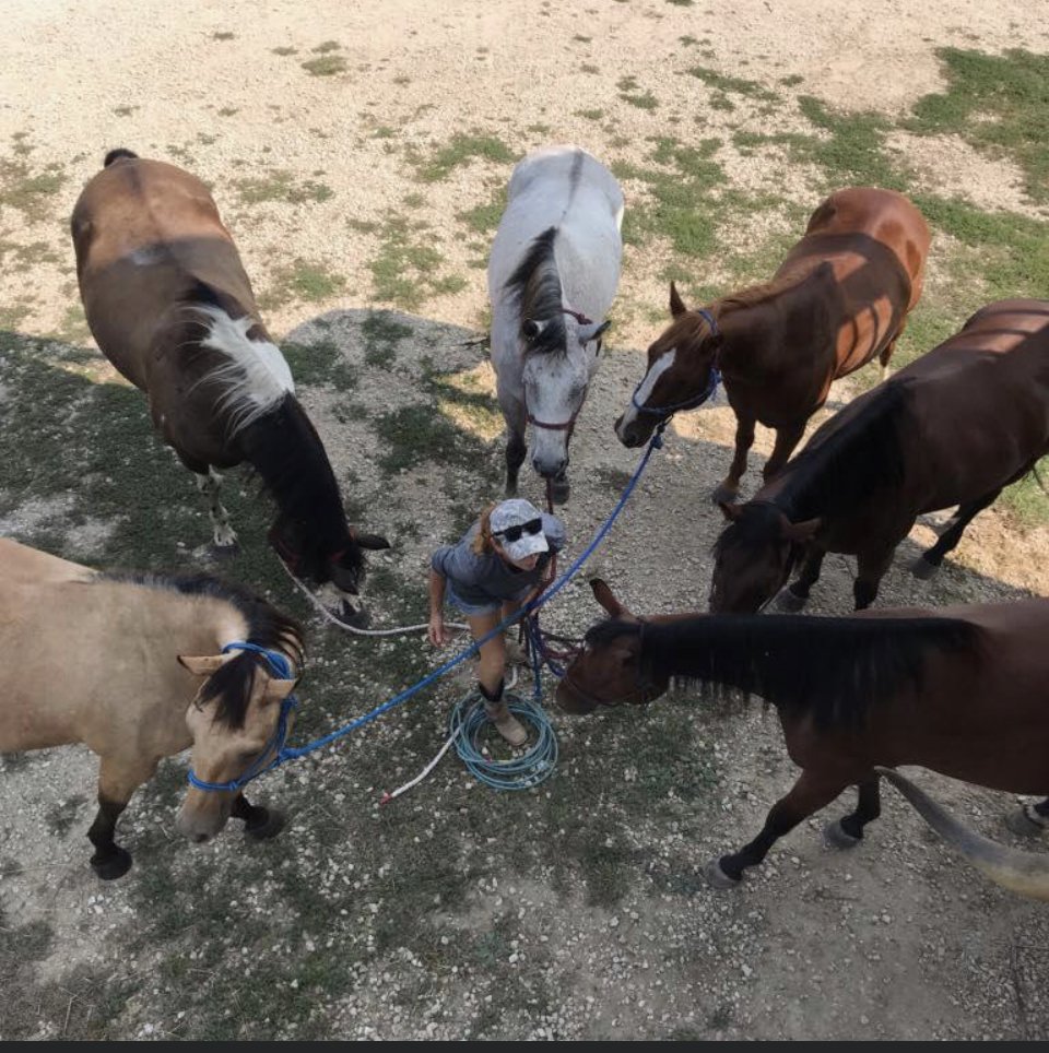 D-Bar Stables - equestrian in Wamego, KS