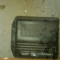 MY mice like this box, not the bait MY mice like this box, not the bait
