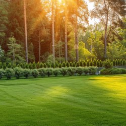 We Care Lawncare