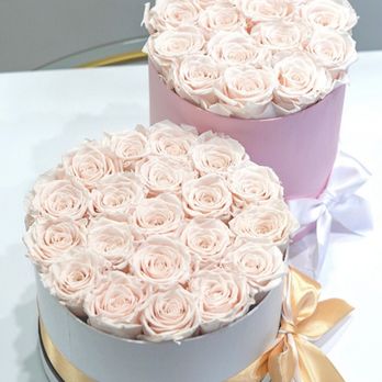 theWrapBoutique - Preserved Roses - Gift Shops Near Me - Miami, Florida theWrapBoutique - Preserved Roses - Gift Shops Near Me - Miami, Florida