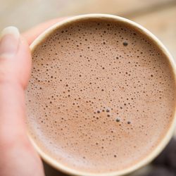 Plantae & Fungi - Now serving hot Ceremonial Cacao! This is more than just a delicious beverage-- it's an experience.