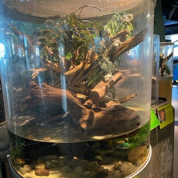 ECHO, Leahy Center for Lake Champlain - Museums Near Me - Burlington, Vermont