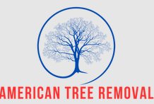 American Tree Removal - tree service in Albuquerque, NM