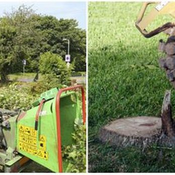 The Tree Surgeon - untitled - Tree Services Near Me - Bethel Park, Pennsylvania The Tree Surgeon - untitled - Tree Services Near Me - Bethel Park, Pennsylvania