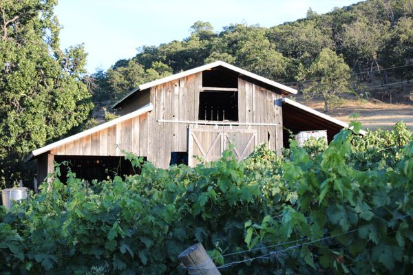 Weisinger Family Winery by null