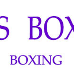 Bars Boxing and Kickboxing School