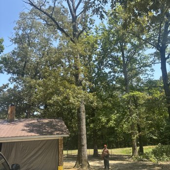 Watson Tree Service - Tree Services Near Me - White Hall, Arkansas