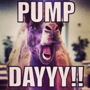 Beefit - Everyday is pump day! - Trainers Near Me - Burbank, California Beefit - Everyday is pump day! - Trainers Near Me - Burbank, California