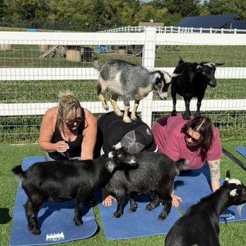 Eagle Eye Farm - Farms Near Me - River Falls, Wisconsin
