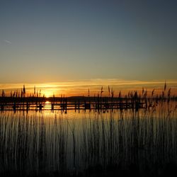 Steinhuder Meer