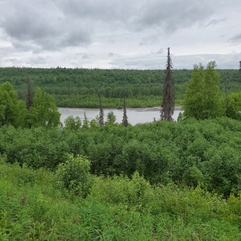 Denali Viewpoint South - Campgrounds Near Me - Trapper Creek, Alaska