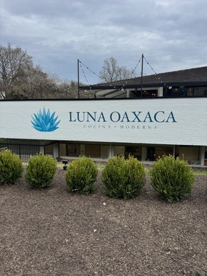 Luna Oaxaca by null
