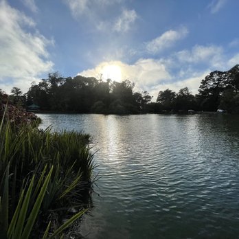 Blue Heron Lake - Lakes Near Me - San Francisco, California Blue Heron Lake - Lakes Near Me - San Francisco, California