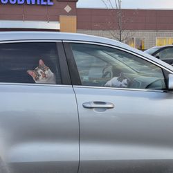 Goodwill - Eagan - Car in parking lot