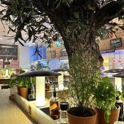 Vapiano - Nice ambiance, fresh herbs and  condiments (olive oil, balsamic vinegar, etc) .