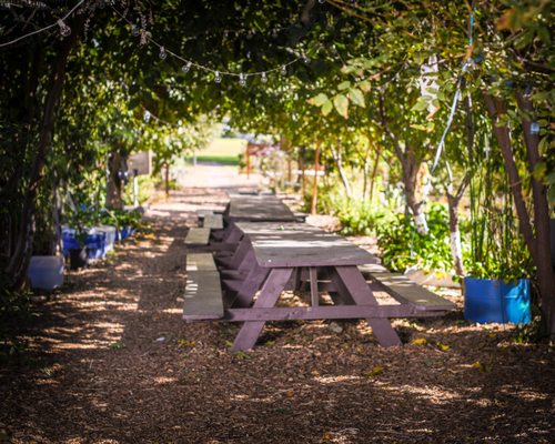 Huerta Del Valle by null