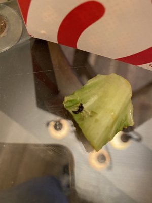 Chick-fil-A by null
