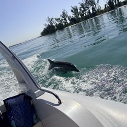 Orca Pro Charters