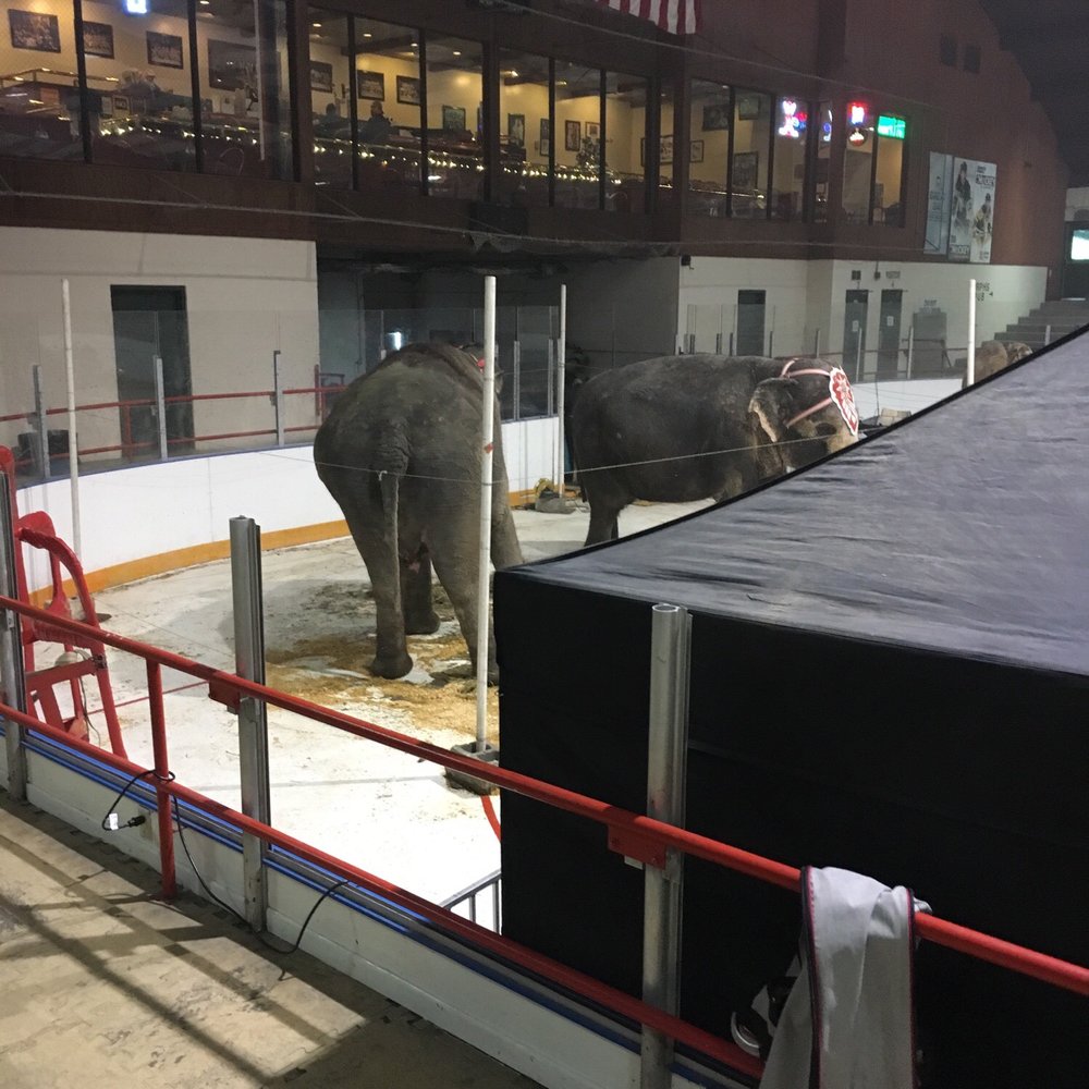 Ice Gardens - Skating Rinks Near Me - Belle Vernon, Pennsylvania