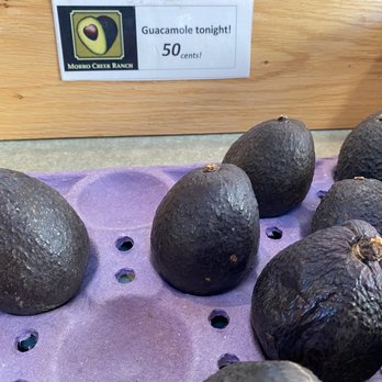 Morro Creek Ranch - Guacamole tonight 50 cents each - Farms Near Me - Morro Bay, California Morro Creek Ranch - Guacamole tonight 50 cents each - Farms Near Me - Morro Bay, California