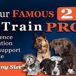 Off Leash K9 Training Kansas City