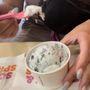 Baskin Robbins