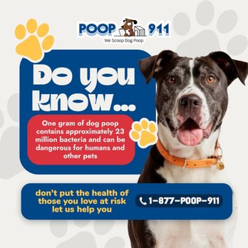 POOP 911 - Pet Waste Removal Near Me POOP 911 - Pet Waste Removal Near Me