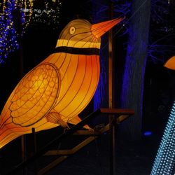 Zoolights - Lighted bird
