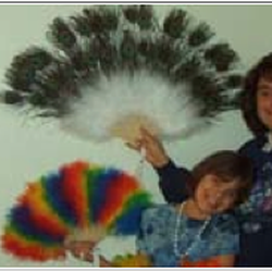 Rainbow Feathers Company
