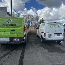 Prominent Pest Solutions