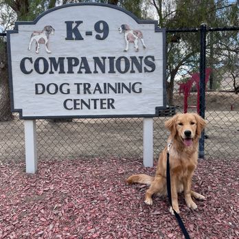 K9 Companions - The day Caliber graduated! - Pet Training Near Me - Perris, California K9 Companions - The day Caliber graduated! - Pet Training Near Me - Perris, California