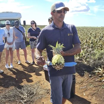 Maui Pineapple Tour - Tours Near Me - Makawao, Hawaii