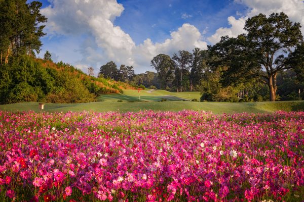 Grand Slam Golf Academy at Bobby Jones Golf Course by null